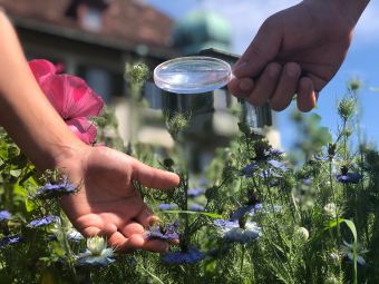 Förderbereich Kind – Eltern