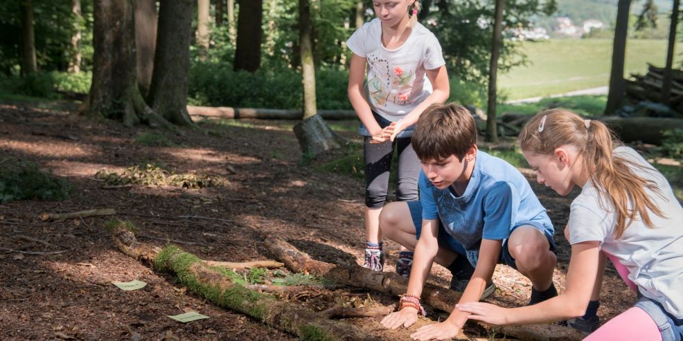 Projektbild Klassenzimmer Natur