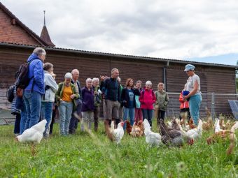 Förderbereich Kind – Eltern