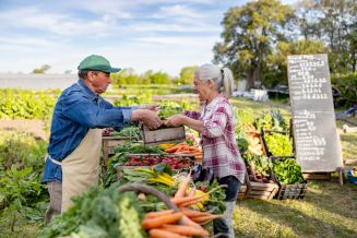 Genussvoll und nachhaltig essen mit Taste the Future