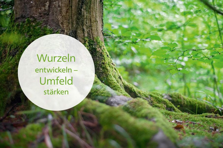 Hausmesse 2021